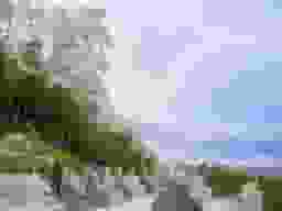 南平浄苑