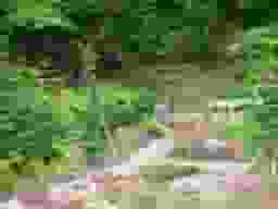 南平浄苑