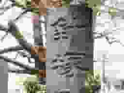 森巖寺墓苑