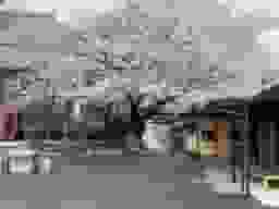 天妙国寺 永代供養納骨堂 鳳凰堂