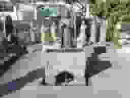 十念寺墓苑