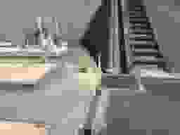泉三徳苑