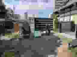 瑞光寺