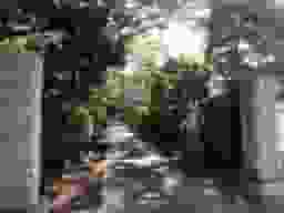 荘厳寺墓苑