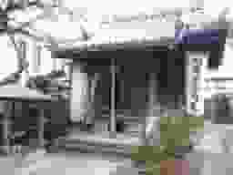 本性寺