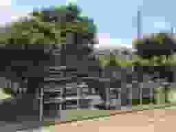 保国寺 のうこつぼ