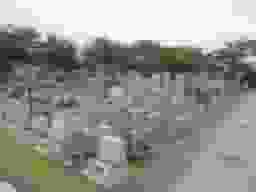 八千代メモリアルヒルズの園内風景