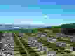 高塔山墓苑