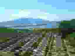 高塔山墓苑