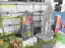 外苑前浄苑