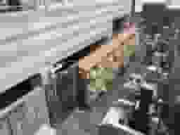 妙善寺墓苑