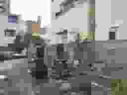 洗心浄苑　区画整理された墓域