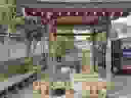 甚行寺