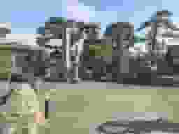 大光寺
