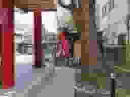 本覚寺