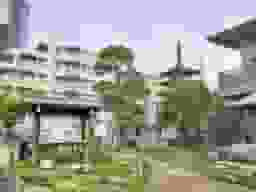 慈眼寺 のうこつぼ
