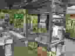 真福寺