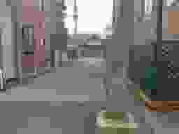 證誠寺
