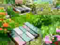 谷中フラワージュ