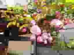谷中フラワージュ