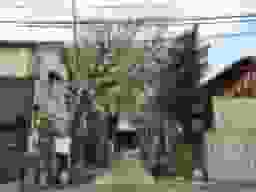 大雄寺