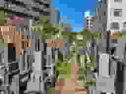 常楽寺