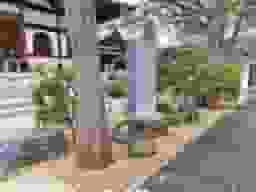 全勝寺
