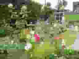 板橋 樹木葬 笑みの樹　四季を感じられる花々
