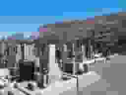 中央霊園