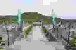 専光寺墓苑