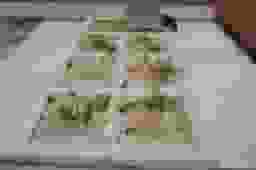 専光寺墓苑