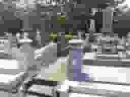 極楽寺霊苑