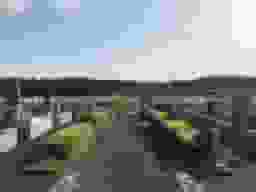 メモリーパーク筑波