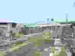 川俣墓地