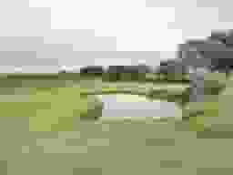 石狩霊園