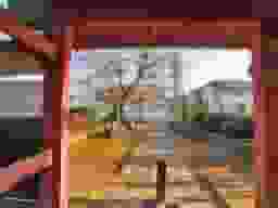 放光院