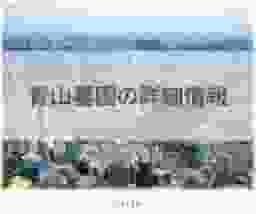 青山墓苑の詳細情報