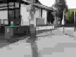 釋尊寺霊園
