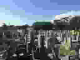 南昌寺境内墓地