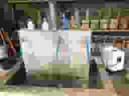 正受院