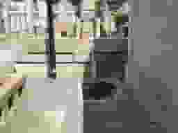 四天王寺霊苑