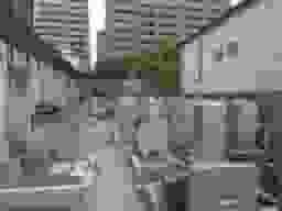 誓願寺