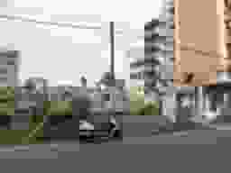 桑津墓地