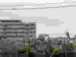 桑津墓地