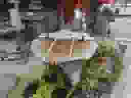 興徳寺