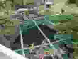 興徳寺