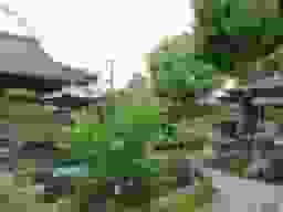 興徳寺