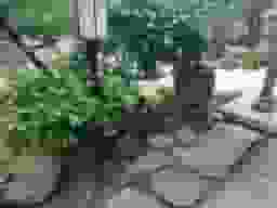 龍泉院