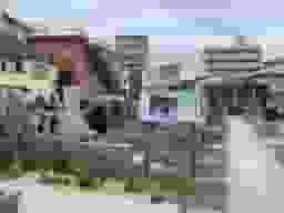 遍照院