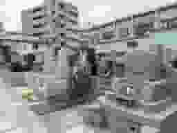 遍照院